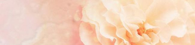 ちゃのまる。's header image