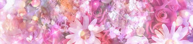 †HIME†77's header image