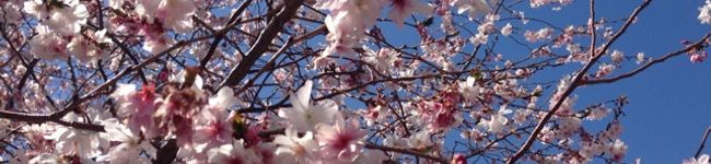 naqua☆'s header image