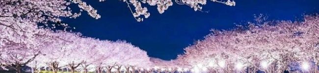 なちるだ's header image