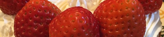 Chakye's header image