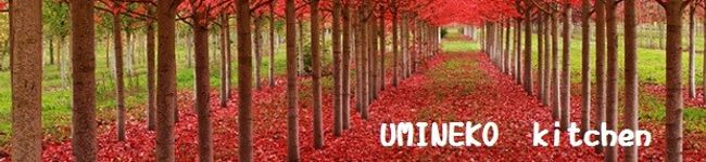 うみねこキッチン's header image