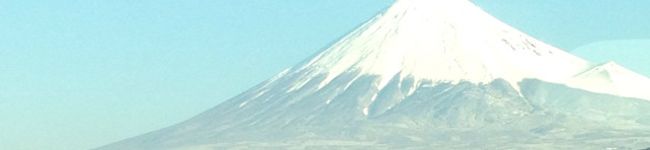 まりうさぎ14's header image