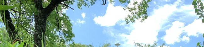 ☆ジェミニー☆'s header image
