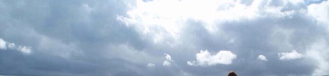 しゃらしゃららん's header image