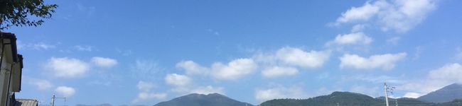 もやしみその台所's header image