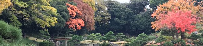 実りの蕎麦's header image