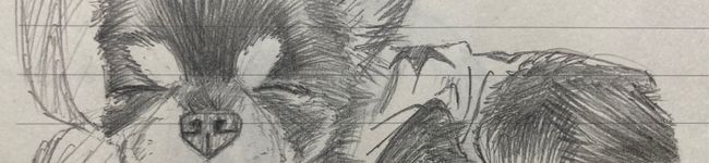 haruku221's header image