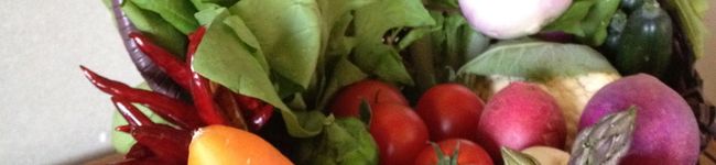 novin's header image