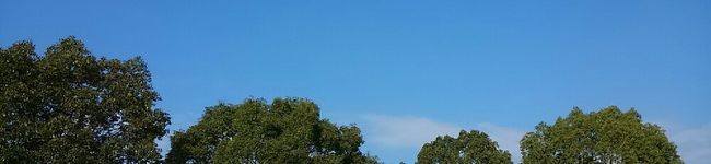 はっぴぃchan's header image