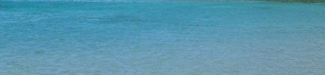 パン焼いたろ's header image