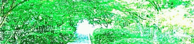 なまえなんかない's header image