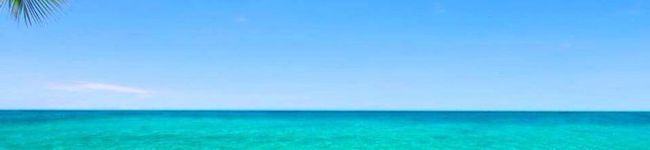 マナマナベーカリー's header image
