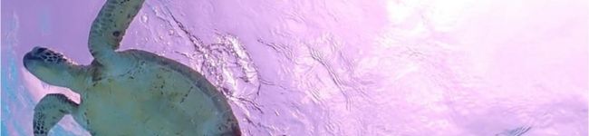 osakababys's header image