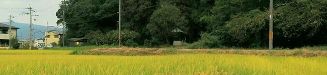 supi☆food's header image