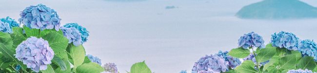 まこしー保存用's header image