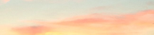 choco☆pug's header image