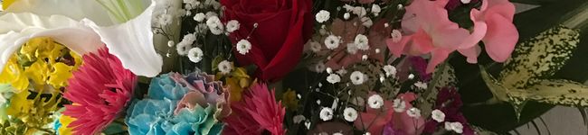 michi816's header image