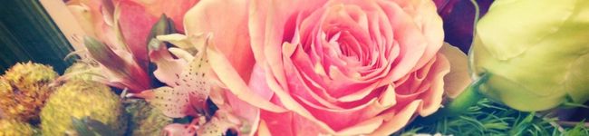 Akiko_xxx's header image