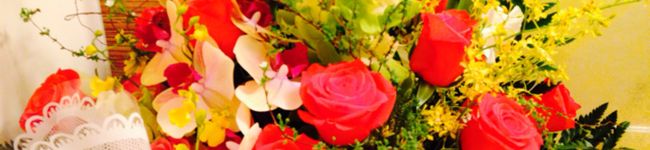 珠梨菜's header image