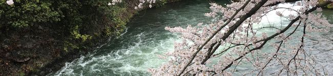 ニックQ's header image