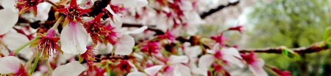 もとやまかずゆき's header image