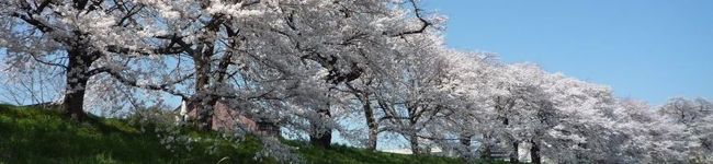 チェックのエプロン's header image