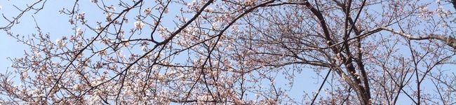 Rたむ's header image
