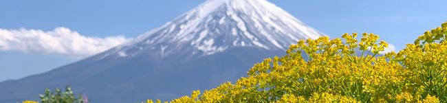 むんちゃ's header image