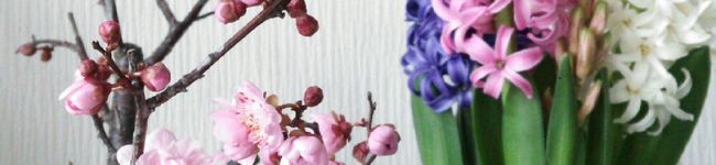 くーくー☆'s header image