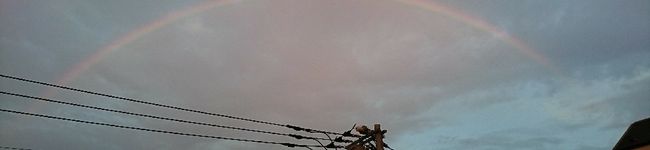 riekuma_99's header image