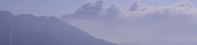 気のとれーにんぐさん's header image