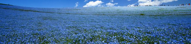 kanan店長's header image