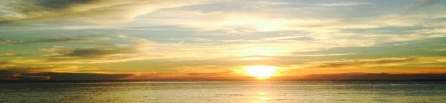 はるなm's header image