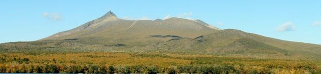 ponteponte's header image