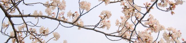 MCK_mkb's header image