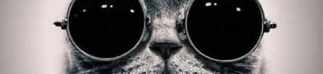 suiichon's header image