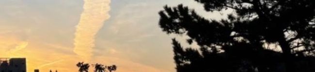 81miyu's header image