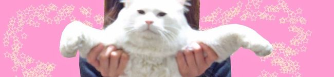 ゅるり's header image