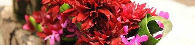 りばーはんど's header image