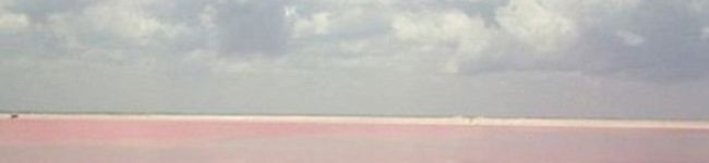 marorinnu's header image