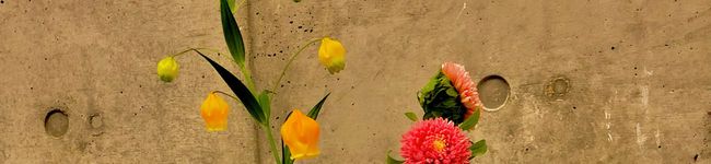 icene8's header image