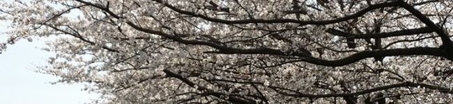 水波0210's header image
