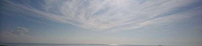 きゃおり's header image