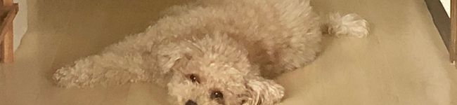 Ｎete's header image