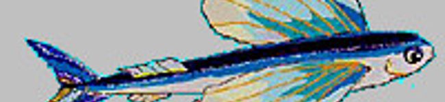 ココッピット's header image