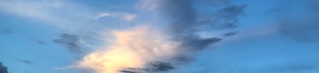 noelish's header image