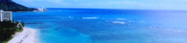 ちゃんころ1218's header image