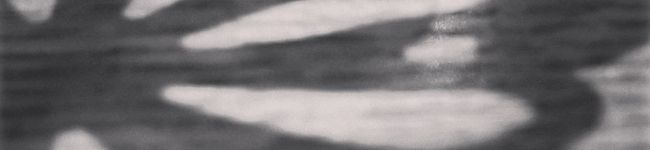 ayumistorm's header image