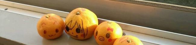 ＊白うさぎ＊'s header image
